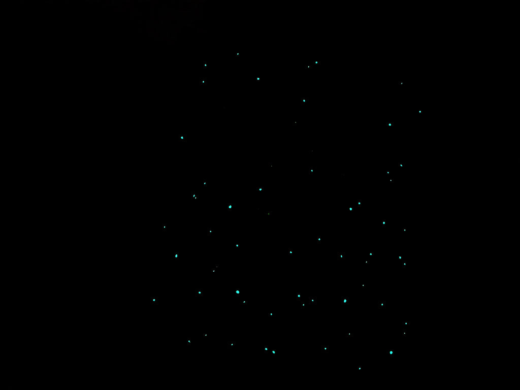 Glow-in-the-dark Tote Bag with Patches 🌟